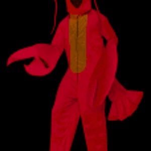 Lobster Costume